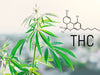 Exploring THC Potency: Unlocking the Benefits and Understanding Its Impact