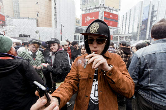 Cannabis and the Immune System: Can THC Help You Stay Balanced?