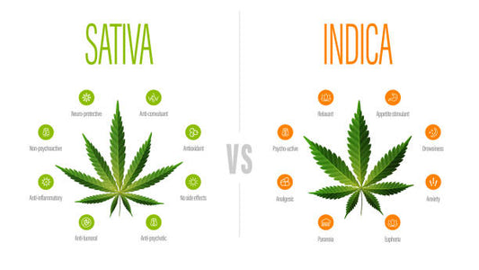 indica, cannabis, strain, flowers