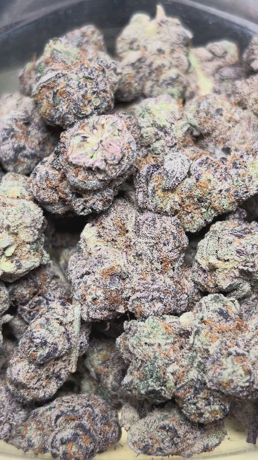 Fruit Loop Runtz (Hybrid)