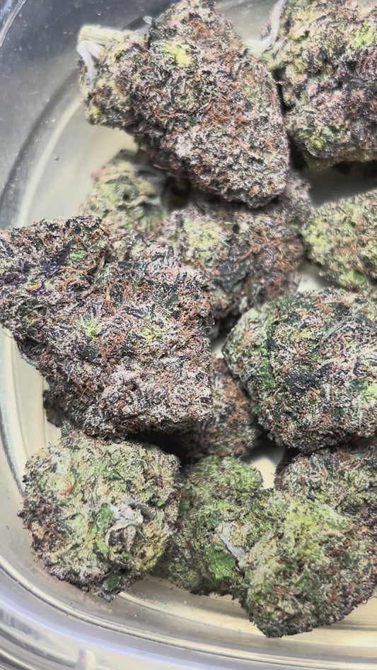 Victoria Secret (Hybrid)