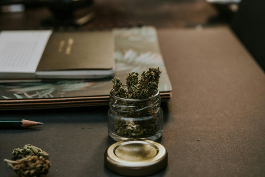 How to Safely Dose Cannabis: Beginner’s Guide to THC Levels and Effects