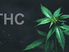 THC vs. THCa: What’s the Difference and Why It Matters