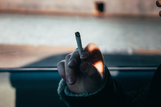 Morning High vs. Night High: How Time of Day Shapes the Experience
