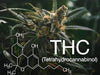 Demystifying THC: Understanding the Benefits and Effects of Tetrahydrocannabinol