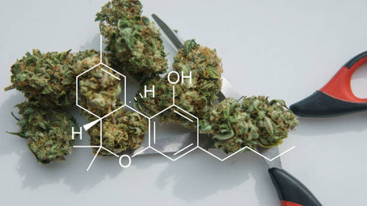 Microdosing THC: Benefits, Risks, and Best Practices