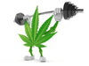Elevating Your Workout: The Symbiosis of Cannabis and Exercise