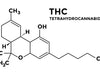 The Rise of THC: Understanding Cannabidiol and Its Uses