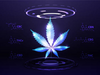 The Intersection of Cannabis and Technology: Innovations Shaping the Industry
