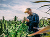 Cannabis and Sex: How THC Can Affect Intimacy and Enhance Experiences