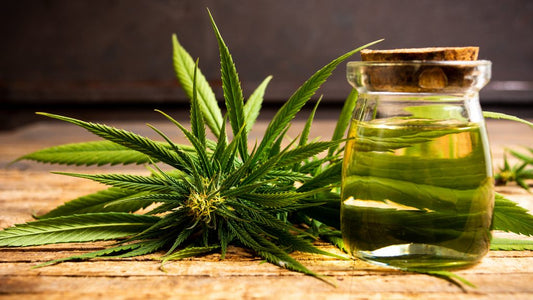 20 Unknown Health Benefits of Cannabis That Everyone Should Know