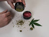 cannabis