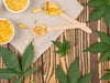Unraveling the Genetics: Exploring Hybrid THC Strains