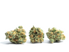 Unveiling the Brilliance: The Golden Globe (Hybrid) Cannabis Flower Strain