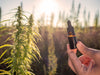 thc, cannabis