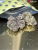 Gumbo Back Shots (Sativa)