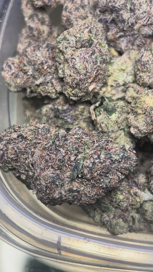 Fun Dip Gelato (Hybrid)