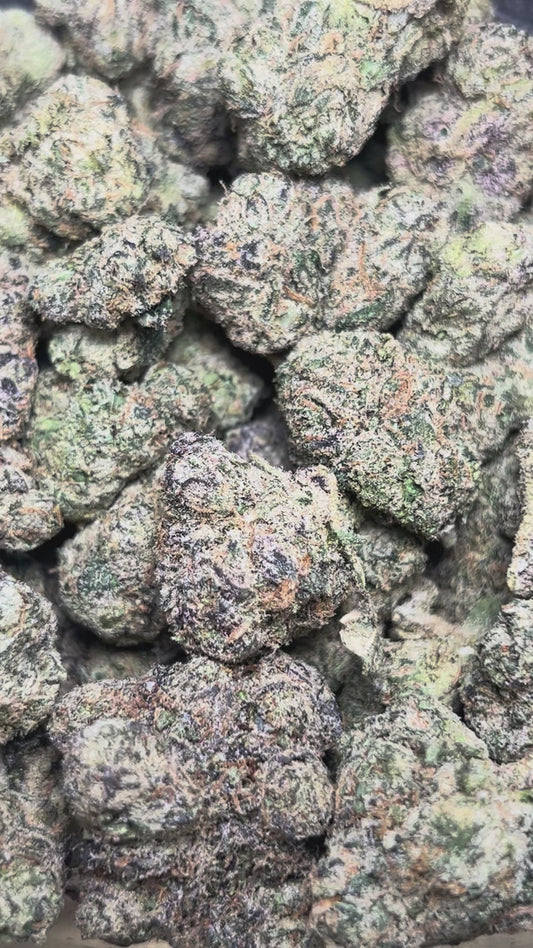 Whooping Cough (Indica)