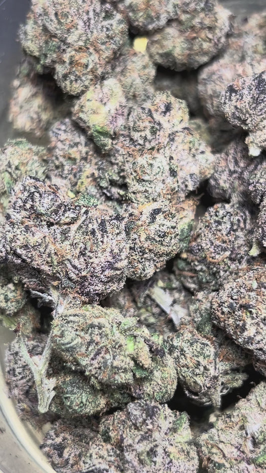 Jumbo Guumbo (Sativa)