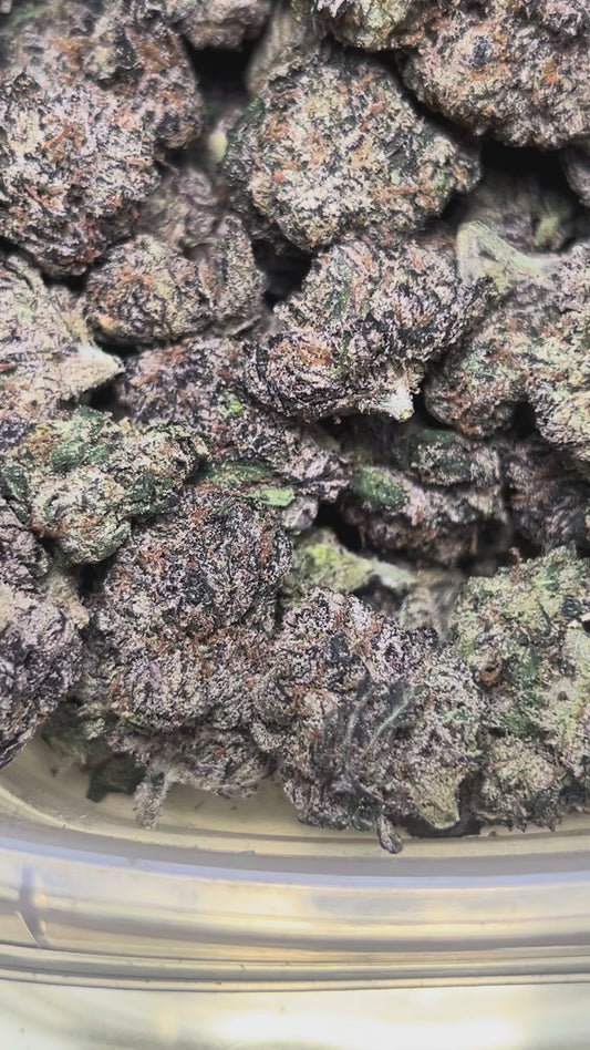 Gumbo Back Shots (Sativa)