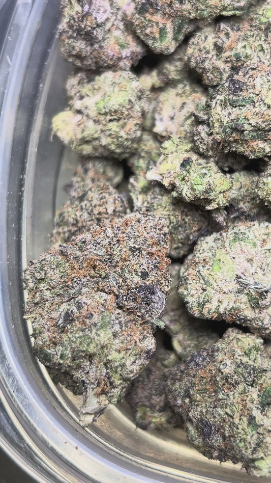 High Grade Haze (Sativa)