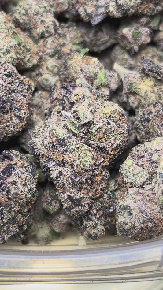 Purple (Indica)