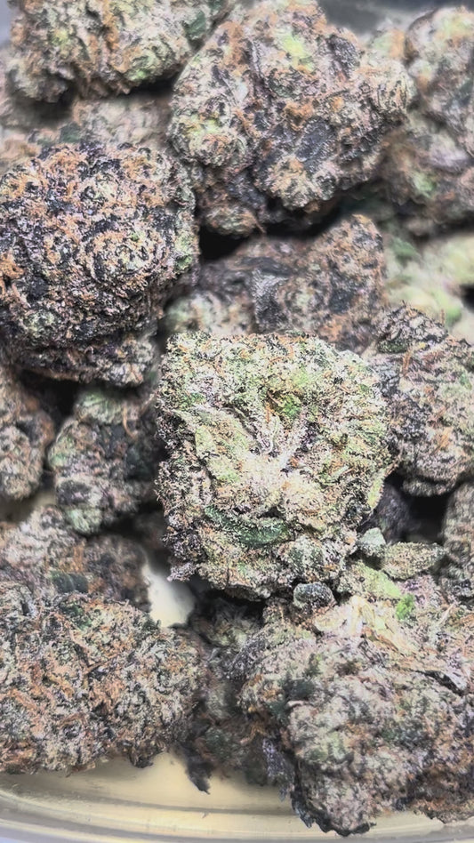 Jack In A Box (Sativa)
