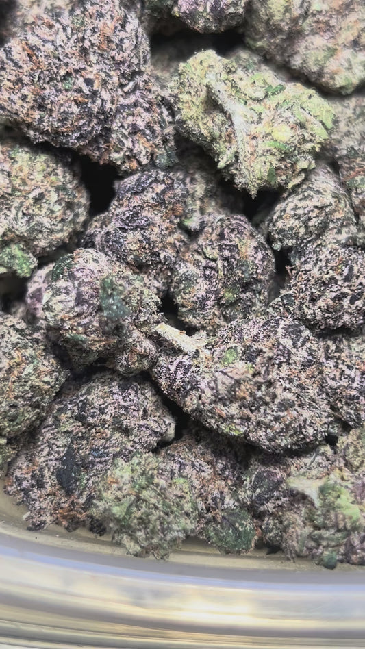Black Jack (Sativa)